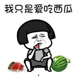 娱乐吃瓜音乐叫什么来着,揭秘流行乐坛的“瓜田”奇闻  第1张